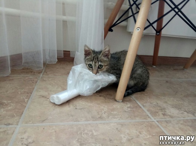 ���� 3: �������� ������