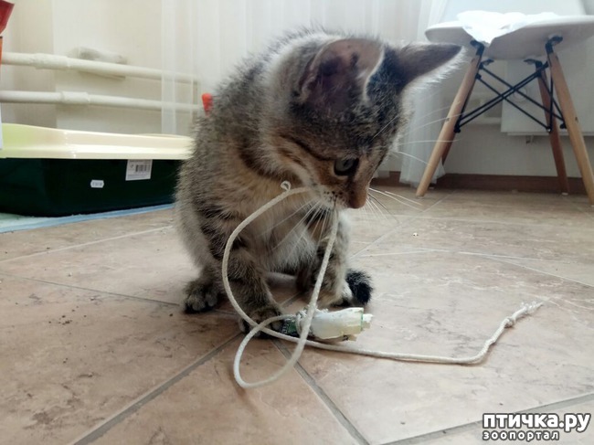 ���� 4: �������� ������