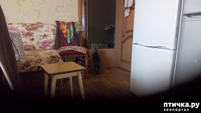 ���� 6: ��� �� � ��������