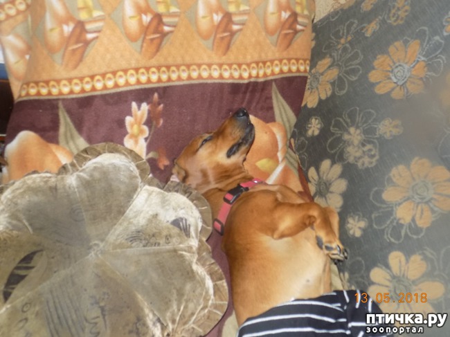 ���� 10: ������