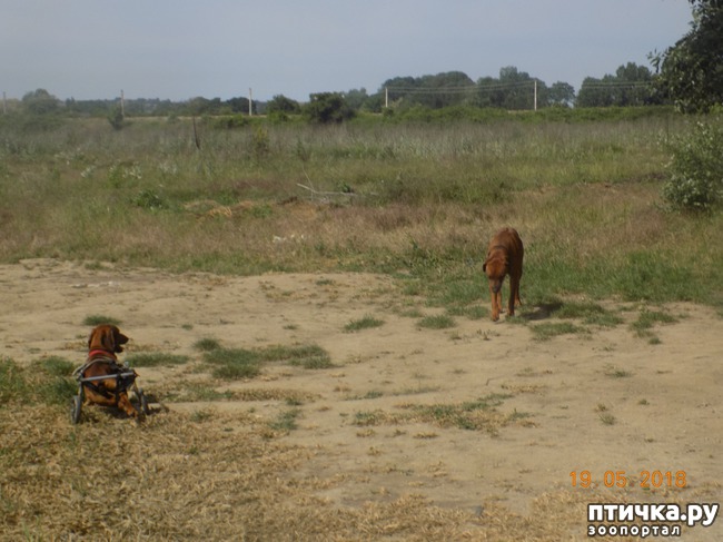 ���� 11: ������