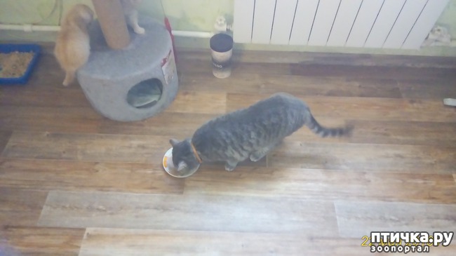 ���� 7: ��� �� � ��������