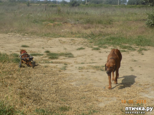 ���� 12: ������