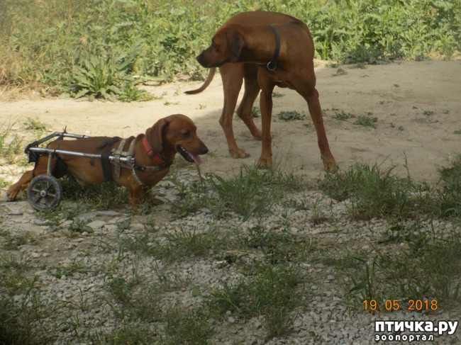 ���� 13: ������