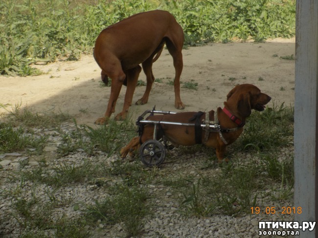 ���� 14: ������