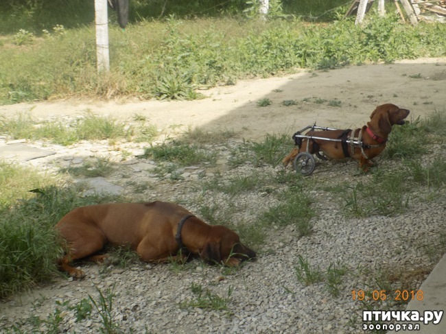 ���� 15: ������