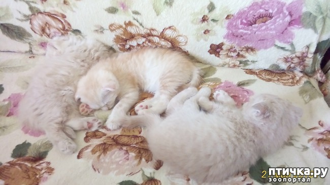 ���� 8: ��� �� � ��������