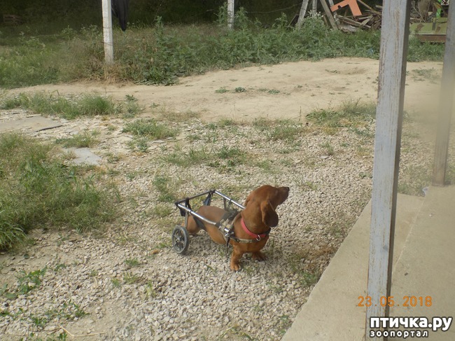 ���� 14: � ���, ��� ������ � �������� �����������...