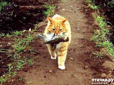 ���� 3: ����� ���� ����� ������ �����? ������� ������������ � ����������.