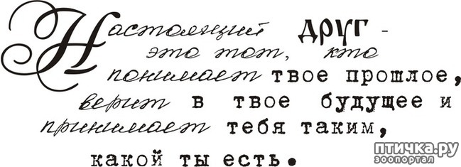 ���� 16: � ���, ��� ������ � �������� �����������...