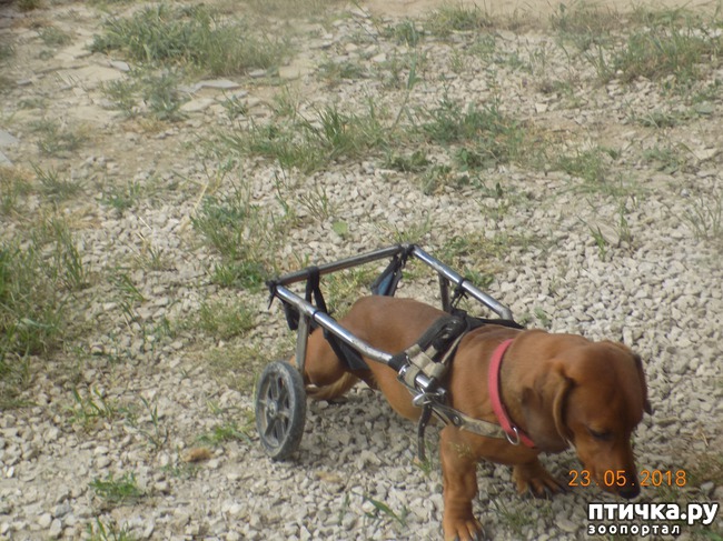 ���� 15: � ���, ��� ������ � �������� �����������...