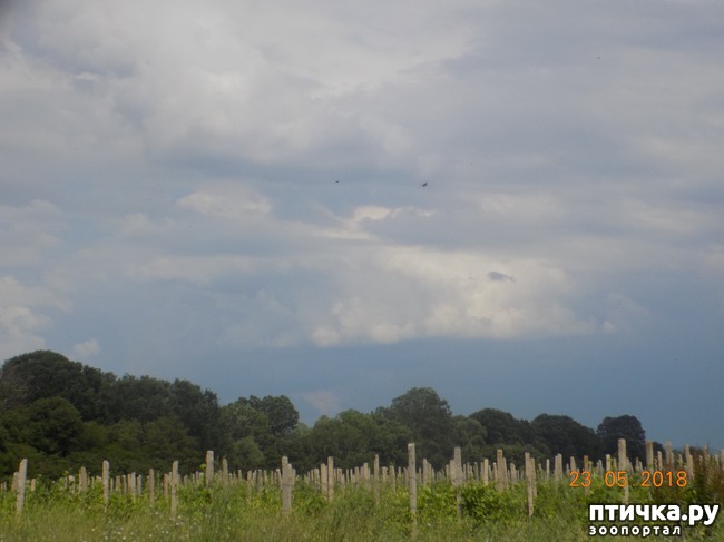 ���� 2: � ���, ��� ������ � �������� �����������...