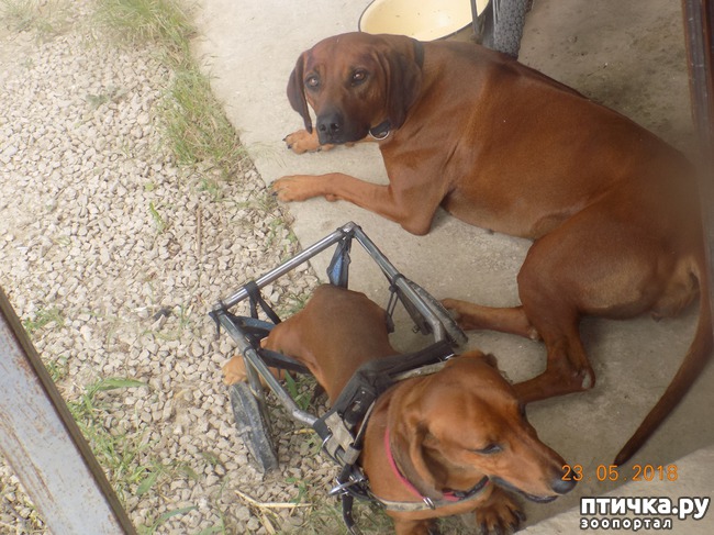 ���� 3: � ���, ��� ������ � �������� �����������...