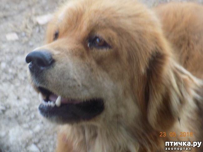 ���� 4: � ���, ��� ������ � �������� �����������...