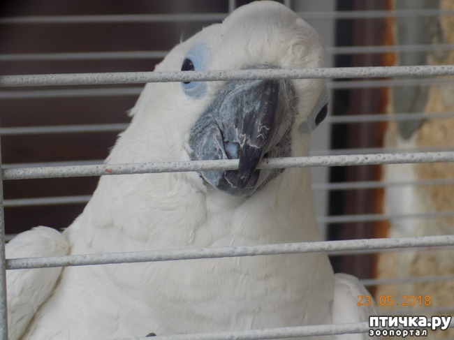 ���� 5: � ���, ��� ������ � �������� �����������...