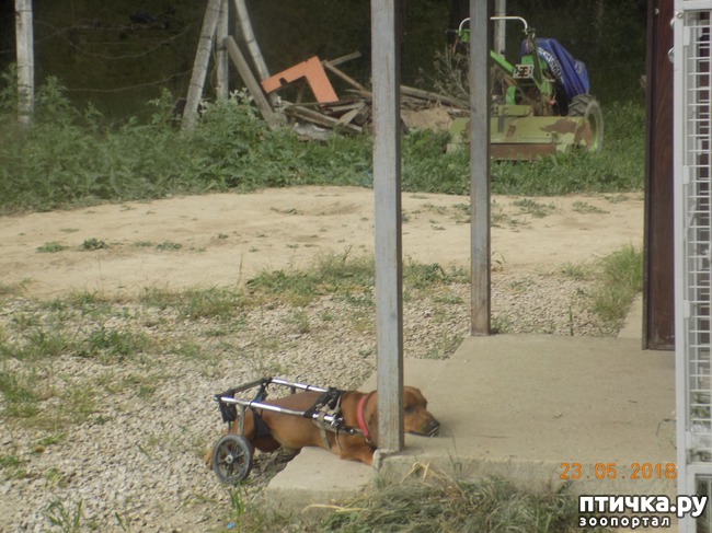 ���� 17: � ���, ��� ������ � �������� �����������...