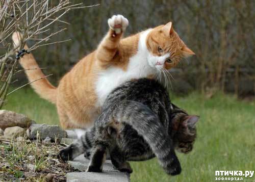 ���� 5: �������� ����� - ���� �����