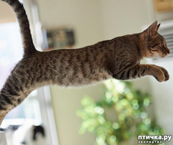 ���� 8: �������� ����� - ���� �����