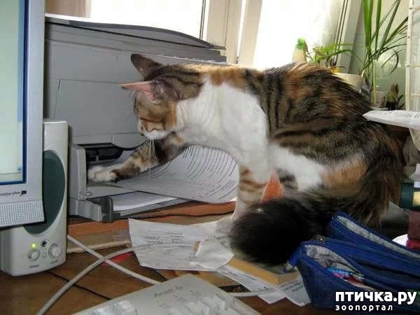 ���� 3: �������� ����� - ���� �����