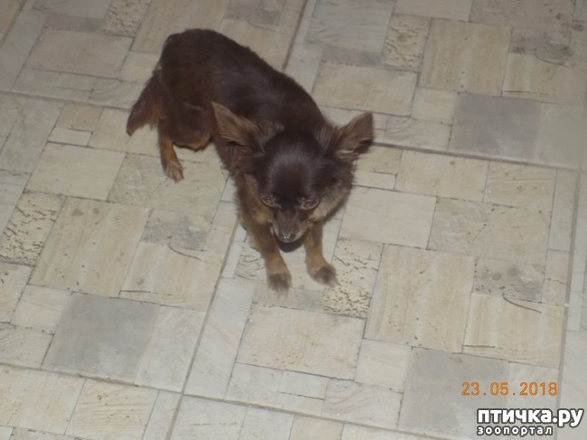 ���� 6: � ���, ��� ������ � �������� �����������...