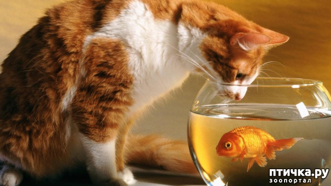 ���� 4: �������� ����� - ���� �����