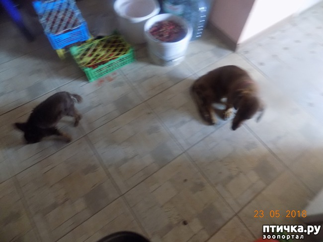 ���� 9: � ���, ��� ������ � �������� �����������...