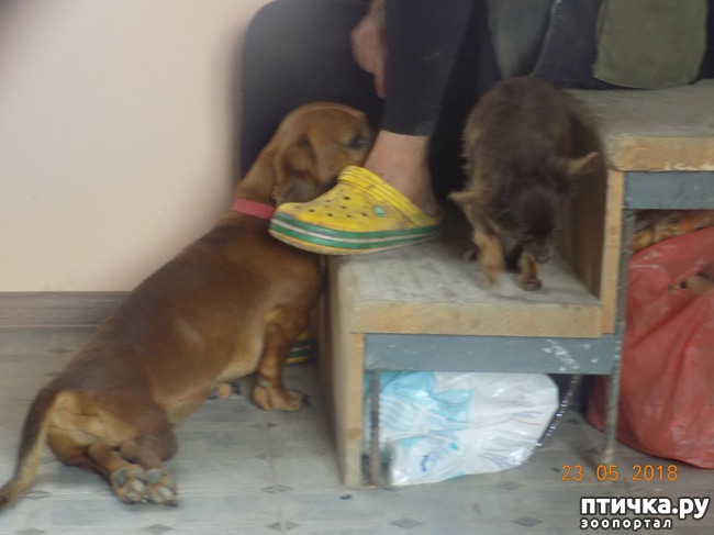 ���� 10: � ���, ��� ������ � �������� �����������...