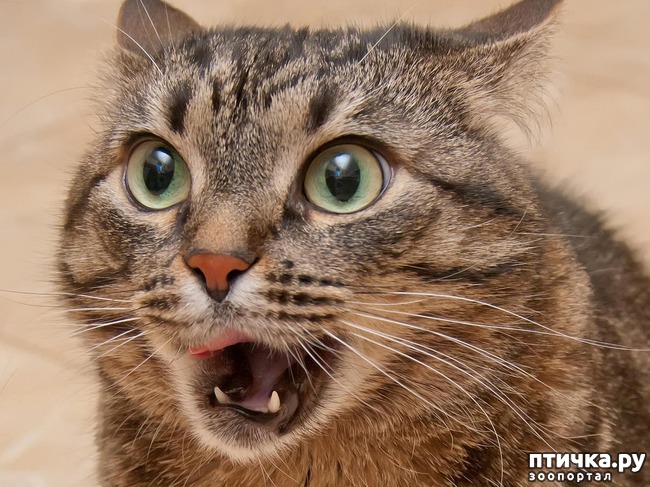 ���� 2: �������� ����� - ���� �����