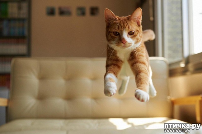 ���� 7: �������� ����� - ���� �����