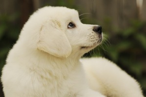 ����: ������ ����� � ���� ����� ���)))