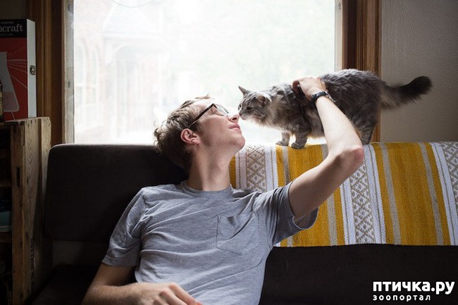 ���� 9: �������� ����� - ���� �����