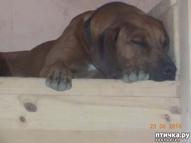 ���� 11: � ���, ��� ������ � �������� �����������...