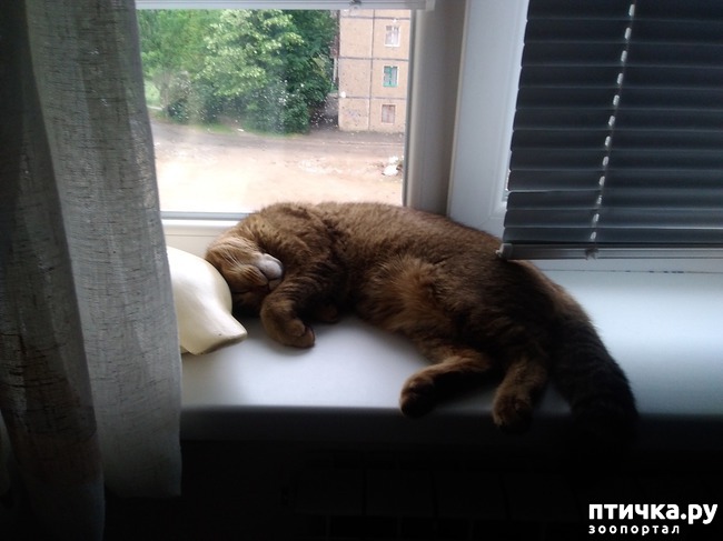 ���� 1: ��� ���