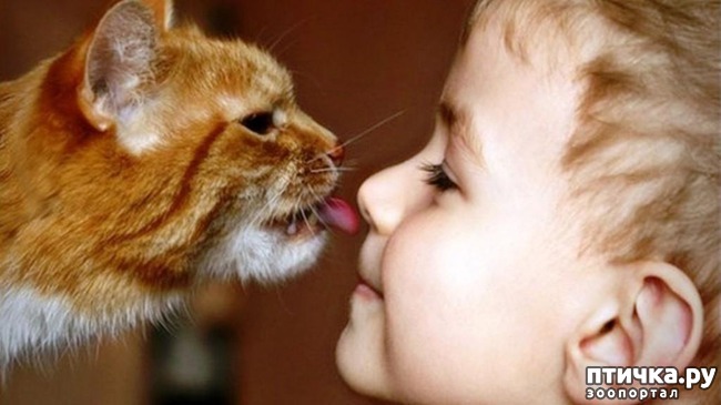 ���� 11: �������� ����� - ���� �����