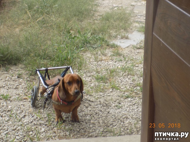 ���� 12: � ���, ��� ������ � �������� �����������...