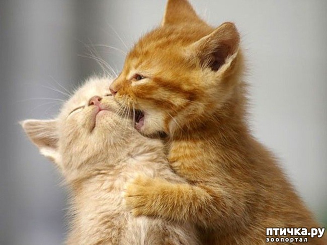 ���� 6: �������� ����� - ���� �����