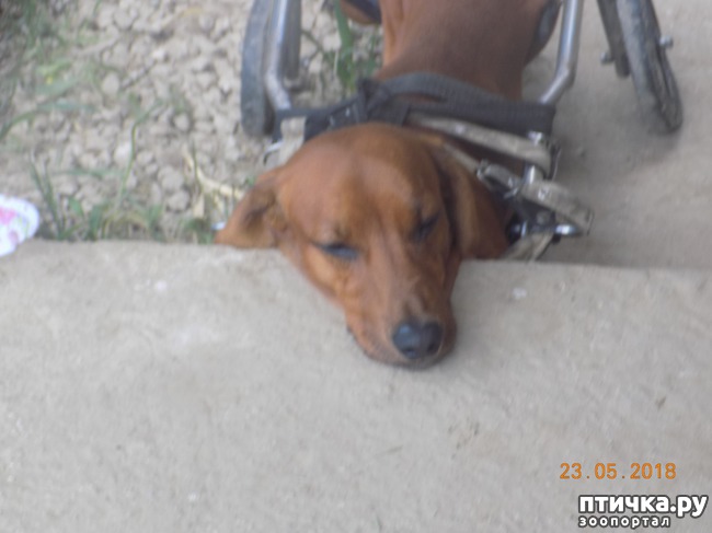 ���� 13: � ���, ��� ������ � �������� �����������...