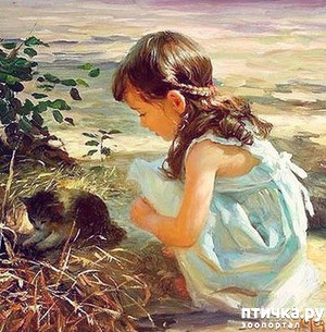 ����: ���� � ����� � �������� (������ �����������)