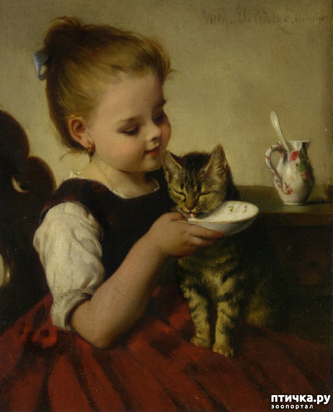 ���� 4: ���� � ����� � �������� (������ �����������)