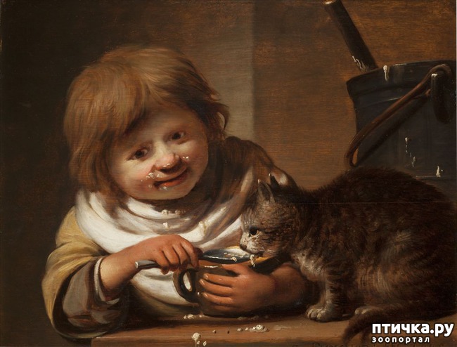 ���� 6: ���� � ����� � �������� (������ �����������)