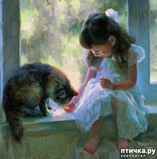 ���� 5: ���� � ����� � �������� (������ �����������)