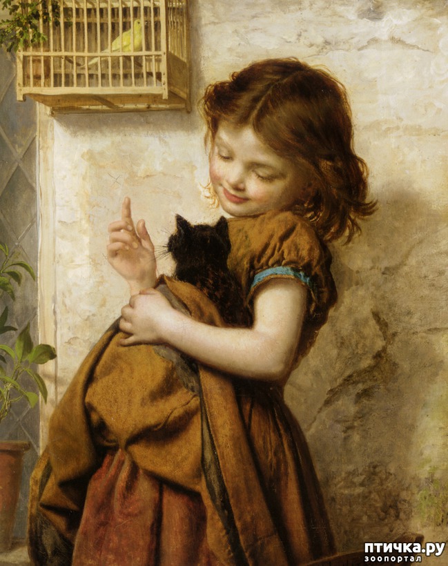 ���� 2: ���� � ����� � �������� (������ �����������)