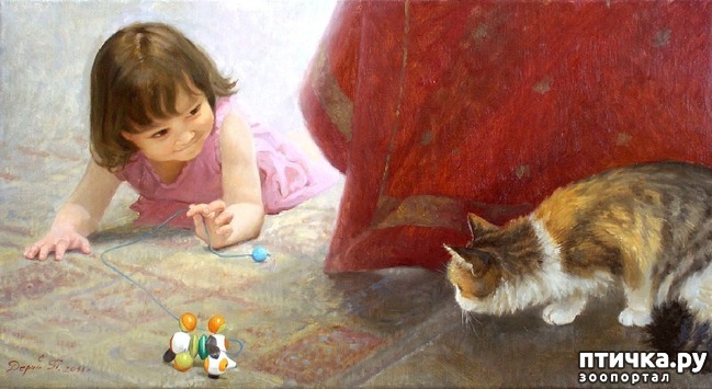 ���� 12: ���� � ����� � �������� (������ �����������)