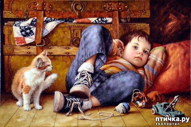 ���� 14: ���� � ����� � �������� (������ �����������)