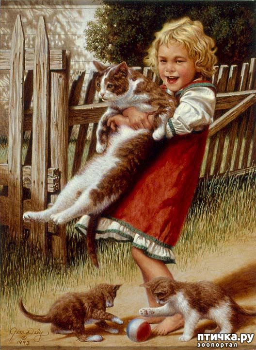 ���� 16: ���� � ����� � �������� (������ �����������)