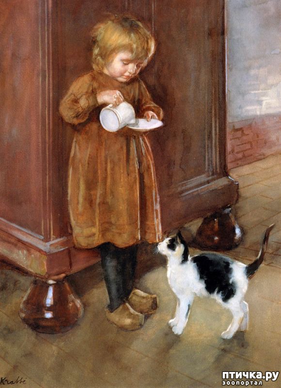 ���� 15: ���� � ����� � �������� (������ �����������)