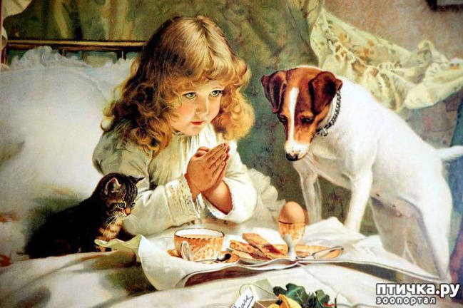 ���� 18: ���� � ����� � �������� (������ �����������)