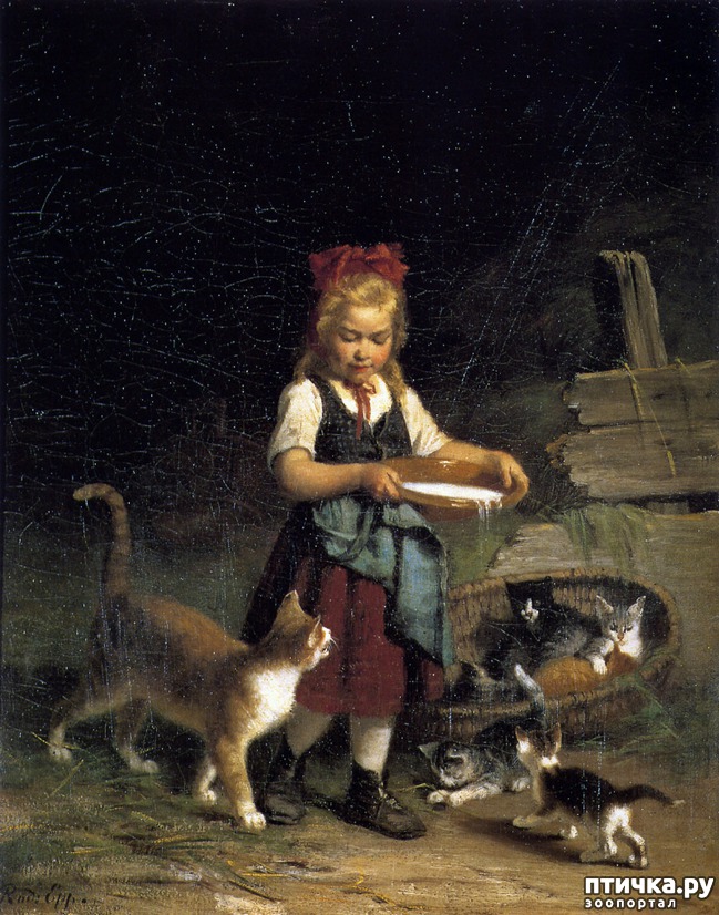 ���� 17: ���� � ����� � �������� (������ �����������)