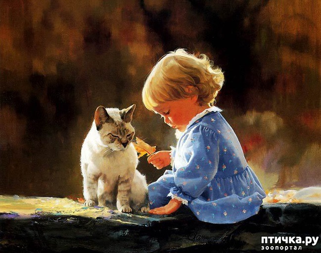 ���� 20: ���� � ����� � �������� (������ �����������)