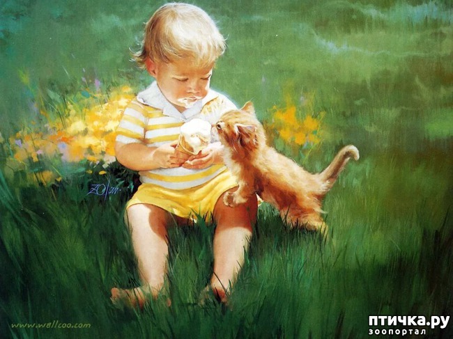 ���� 21: ���� � ����� � �������� (������ �����������)